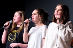 170308_Musikalischer_Abend_2016-17_047