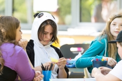 150717_Schulfest_2014-15_021